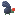 fly